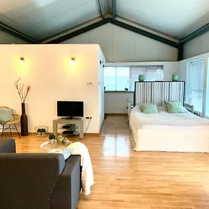 Zomerzon Zandvoort